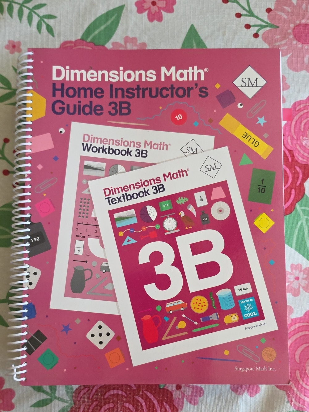 3B Singapore Dimensions Math Instructor Manual